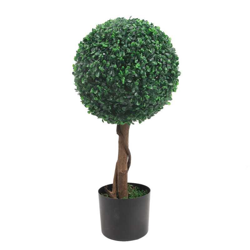 24cm Milan Ball Plant