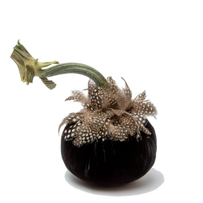 5" Silk Velvet Pumpkin w/Guinea Feather Collar