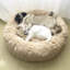 Almaguer Calming Round Donut Plush Dog Cuddler Bed-695135613-695170518