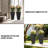 Aftina Pot Planter-222556236-251255598