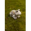Corfu Animals Weather Resistant UV Resistant Plastic Garden Statue