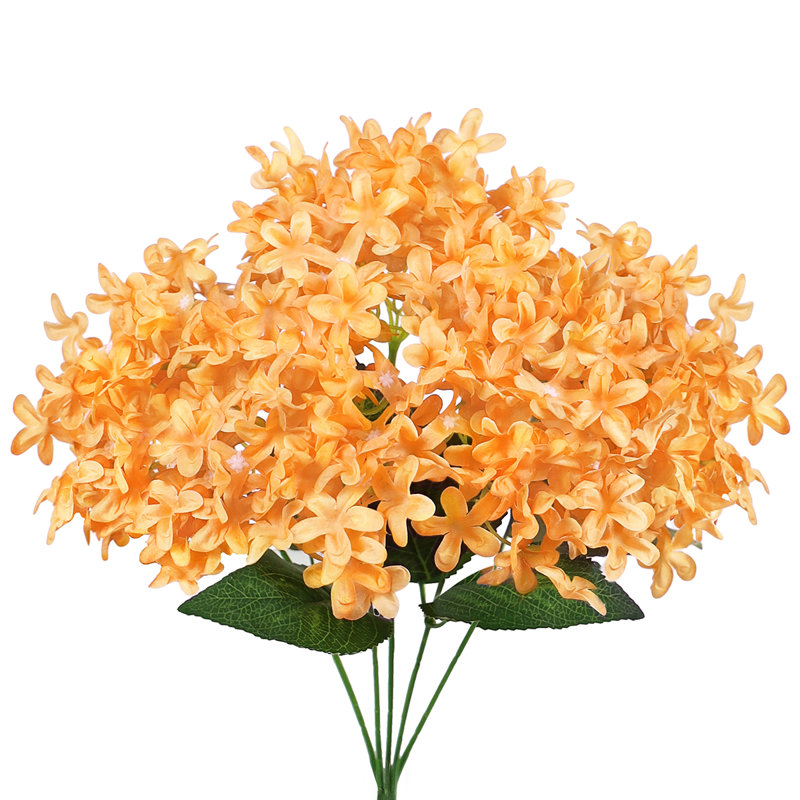 Étoile, hortensia et fleurs, Orange