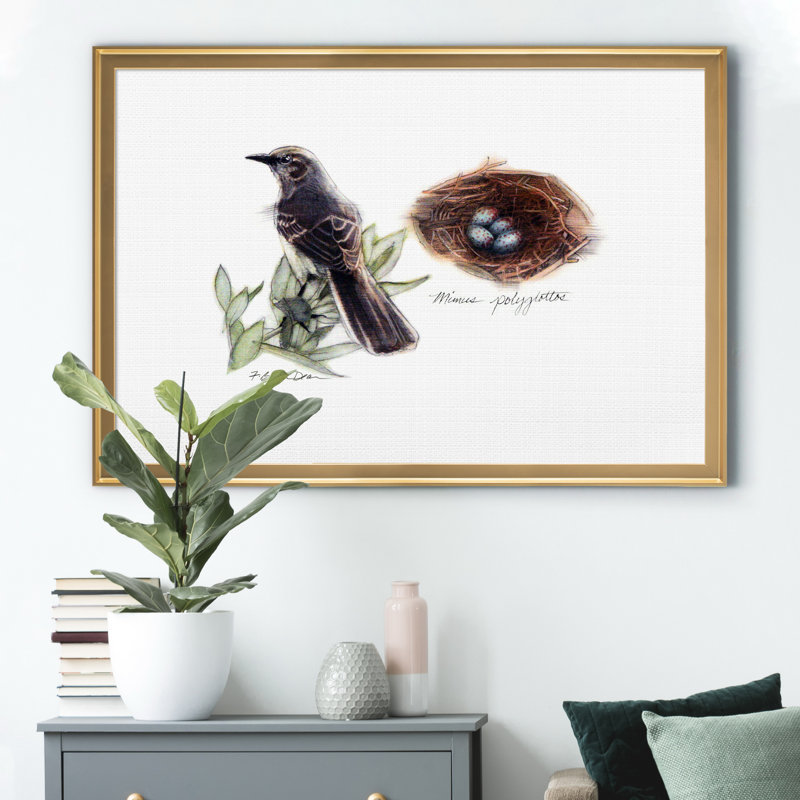 «Bird and Nest Study I», impression sur toile encadrée, Doré, H 26,5 po x l 36,5 po x P 1,5 po