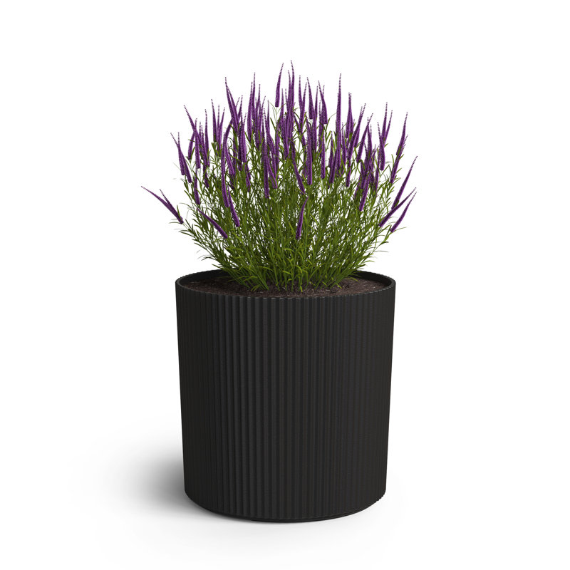 Pot à fleurs rond Byron, 10in, Noir, 1