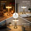 Lampe de bureau à DEL 3 niveaux Caidenlee-67213721