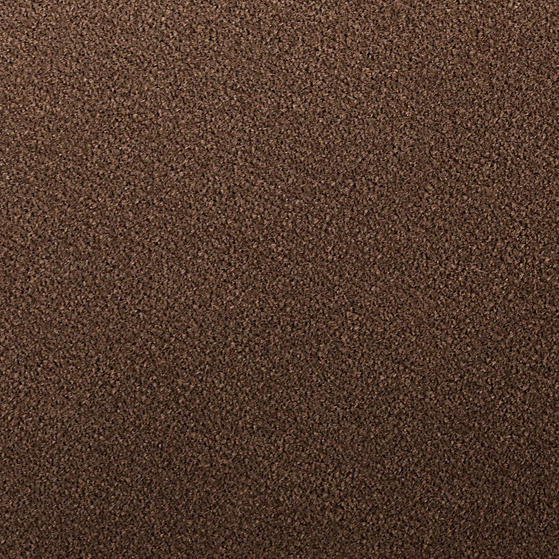 Cleon Sofa, Coffee Velvet