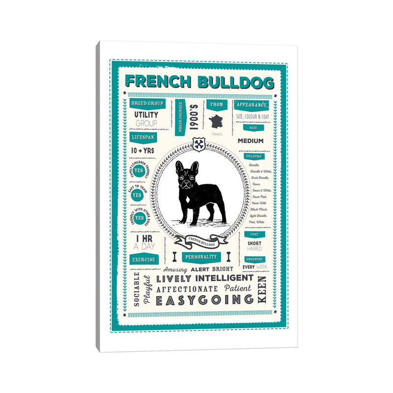 French Bulldog Infographic Blue by PaperPaintPixels - Wrapped Canvas Print, 20.32 cm H x 30.48 cm W