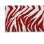 Paillasson Zebra-629547714-629547718