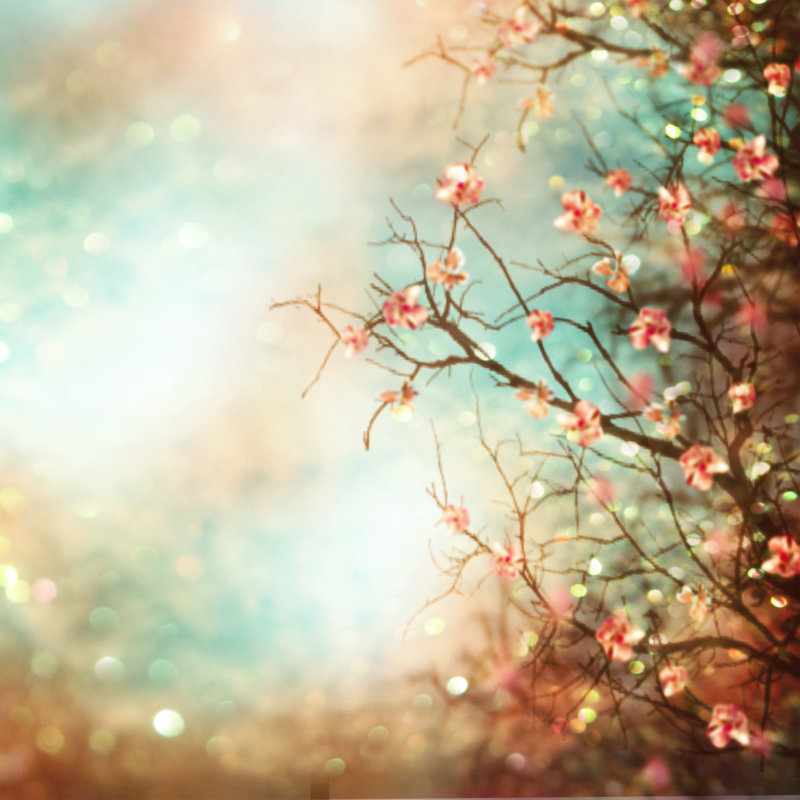 Spring Abstract Background by StockImageGroup - Wrapped Canvas Print, 51cm H x 51cm W x 3.8cm D