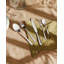 Caccia Stainless Steel Dinner Fork