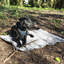 100% Polyester Pet Bed-88666950