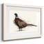 Pheasant Splash 1-1796011497-1796011496