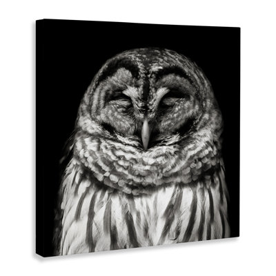 «Sleeping Owl Portrait» par Kathy Mansfield
