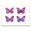 Kathy Morton Stanion - Wrapped Canvas Painting-181617189-182067506