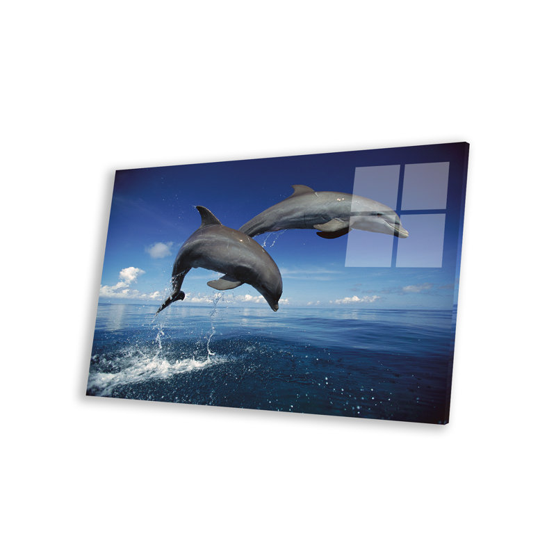 «Chas Bottlenose Dolphin pair J passer, Caribbean on plastique / acrylique» par Konrad Woth, impression