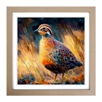 Partridge Neo - Framed Print