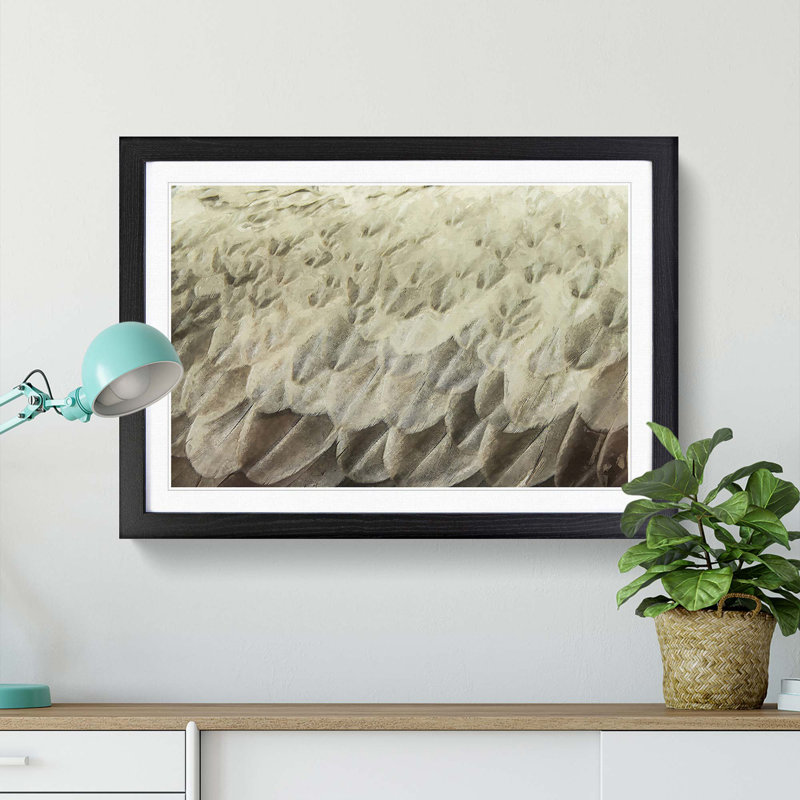 Feathers - Picture Frame Graphic Art Print, 50cm H x 76cm W x 2cm D, Black
