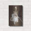 «Moonglow Tulip» par Rebecca Swanson-1636883894