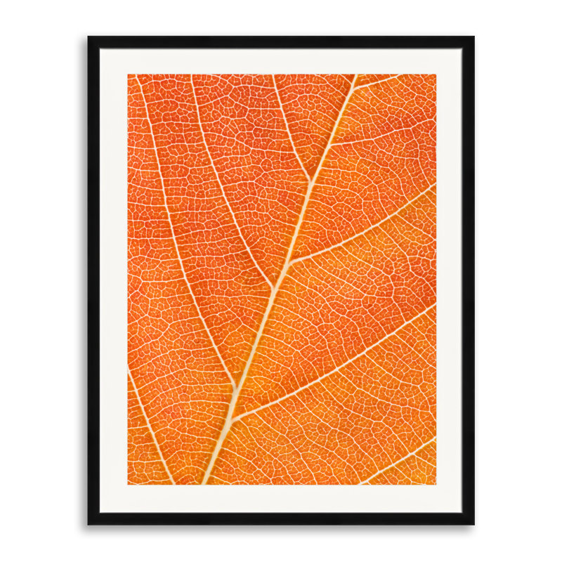 Autumn Leaf Print by Philippe Monthoux, Orange, Black Framed Paper, 30" H x 24" W