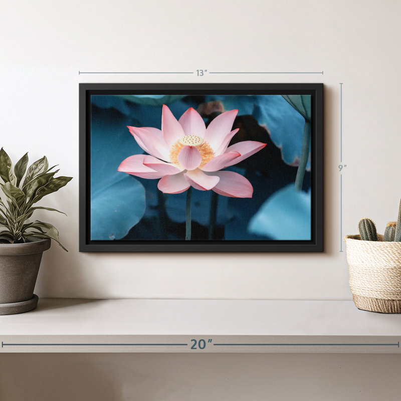 Floral et botanique «Lotus de minuit», H 9 po x l 13 po