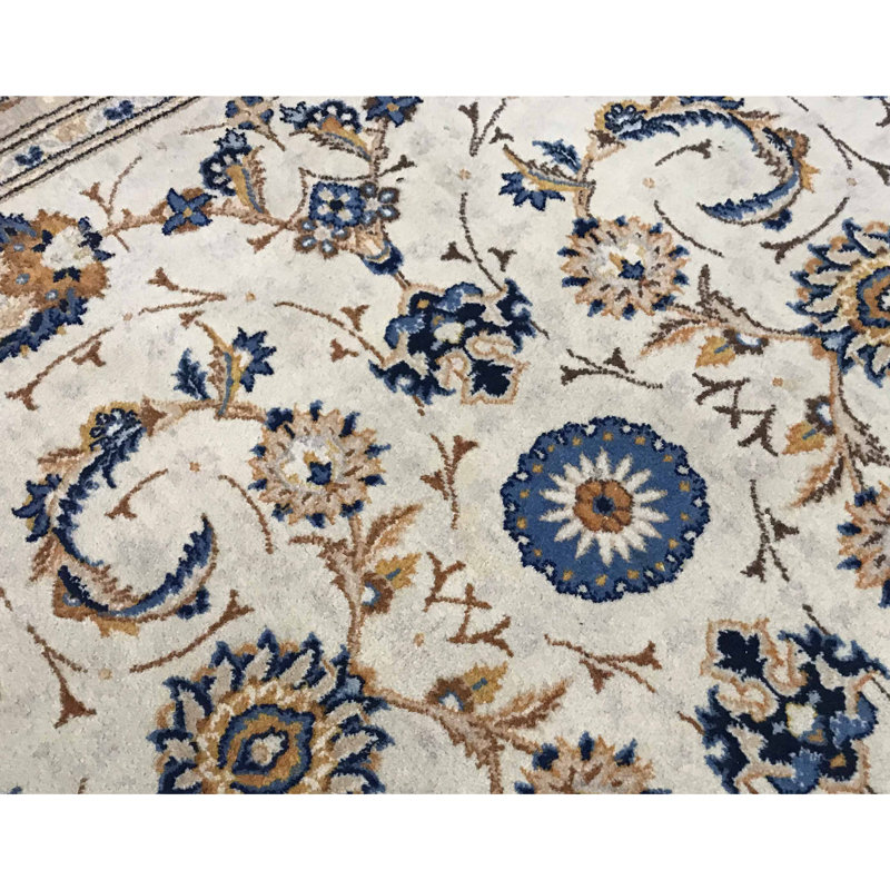 Wool Oriental Area Rug in Ivory