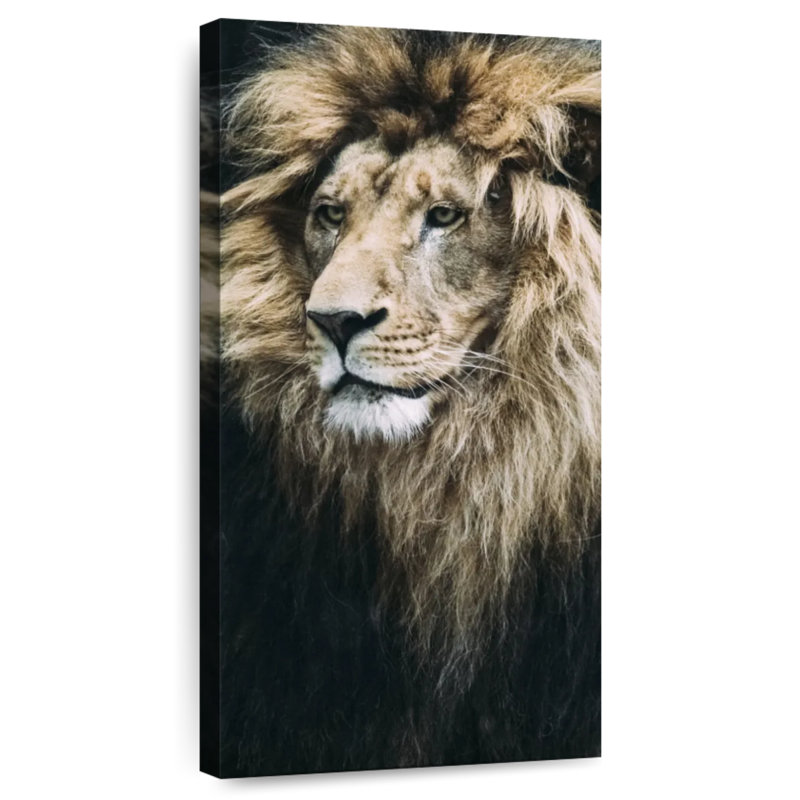 Vieux lion, H 24 po x l 12 po