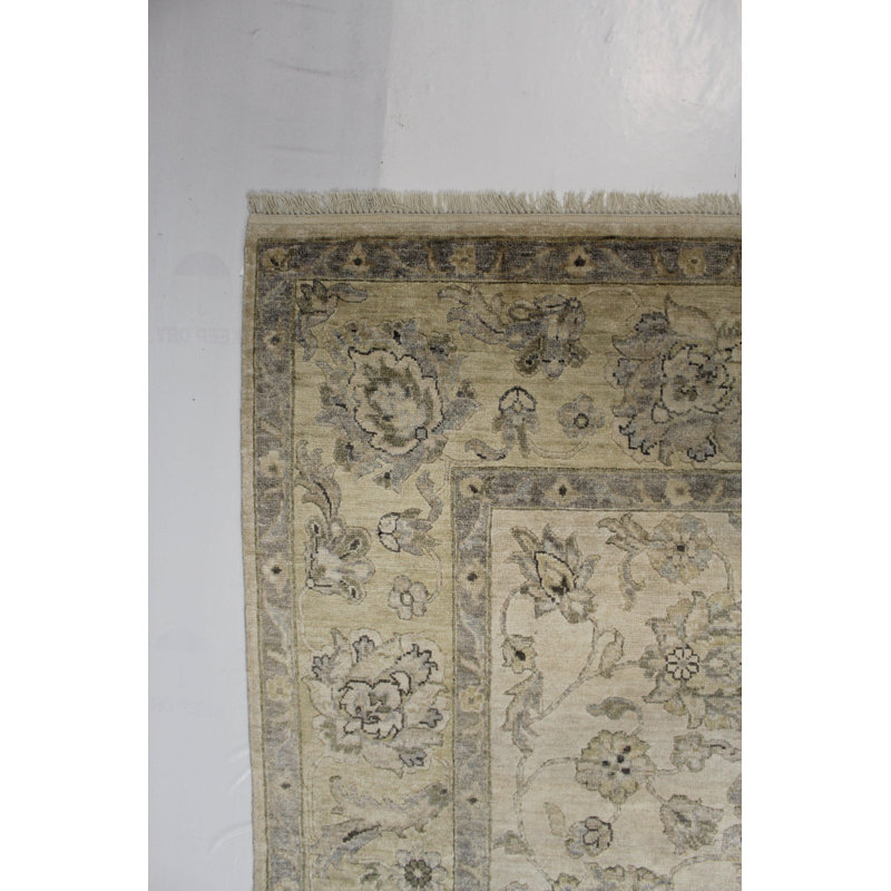 Oriental Area Rug in Ivory