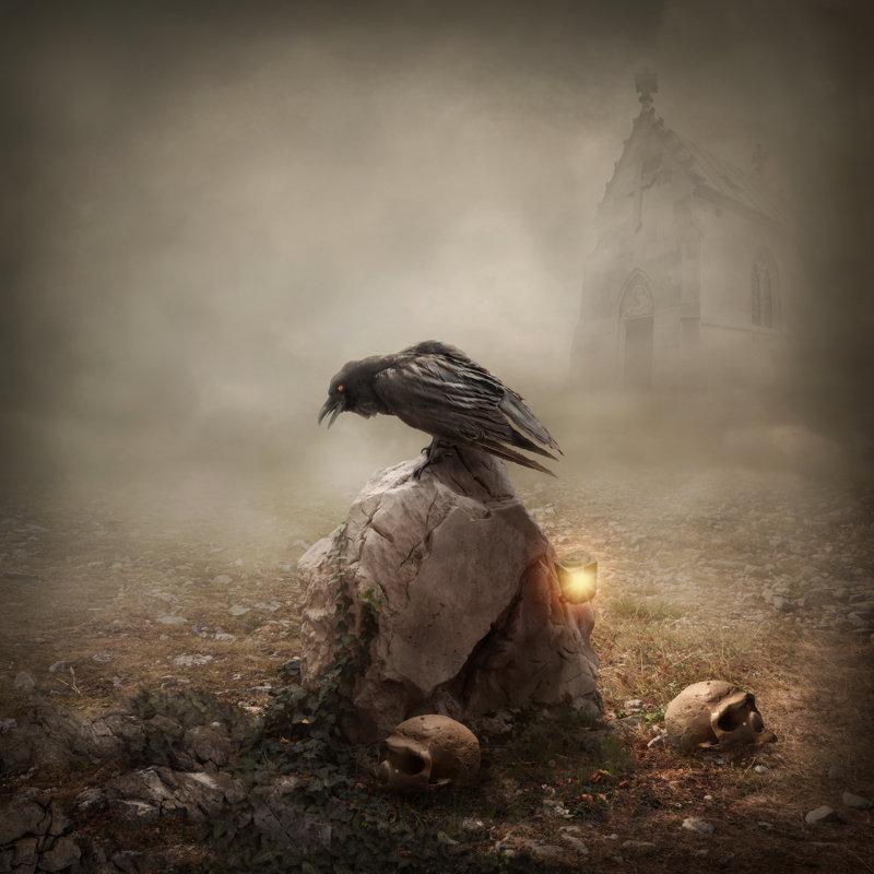 Crow Sitting On A Gravestone by Egal - Wrapped Canvas Print, 30cm H x 30cm W x 3.8cm D