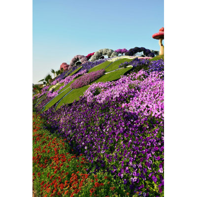 Jardin miraculeux de Dubaï, ÉAU - Photographie sur toile tendue