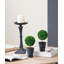Topiaire buis en pot-22214119
