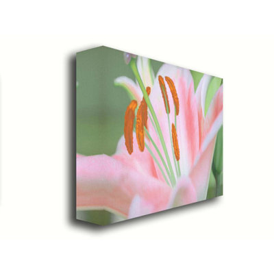 Lily A Go Go par Hal Halli. Toile giclée sur toile tendue avec cadre flottant