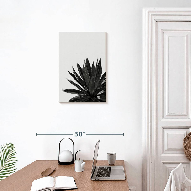 Harnek Agave Cactus BW, 24" H x 16" W