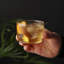 Verres Bodega