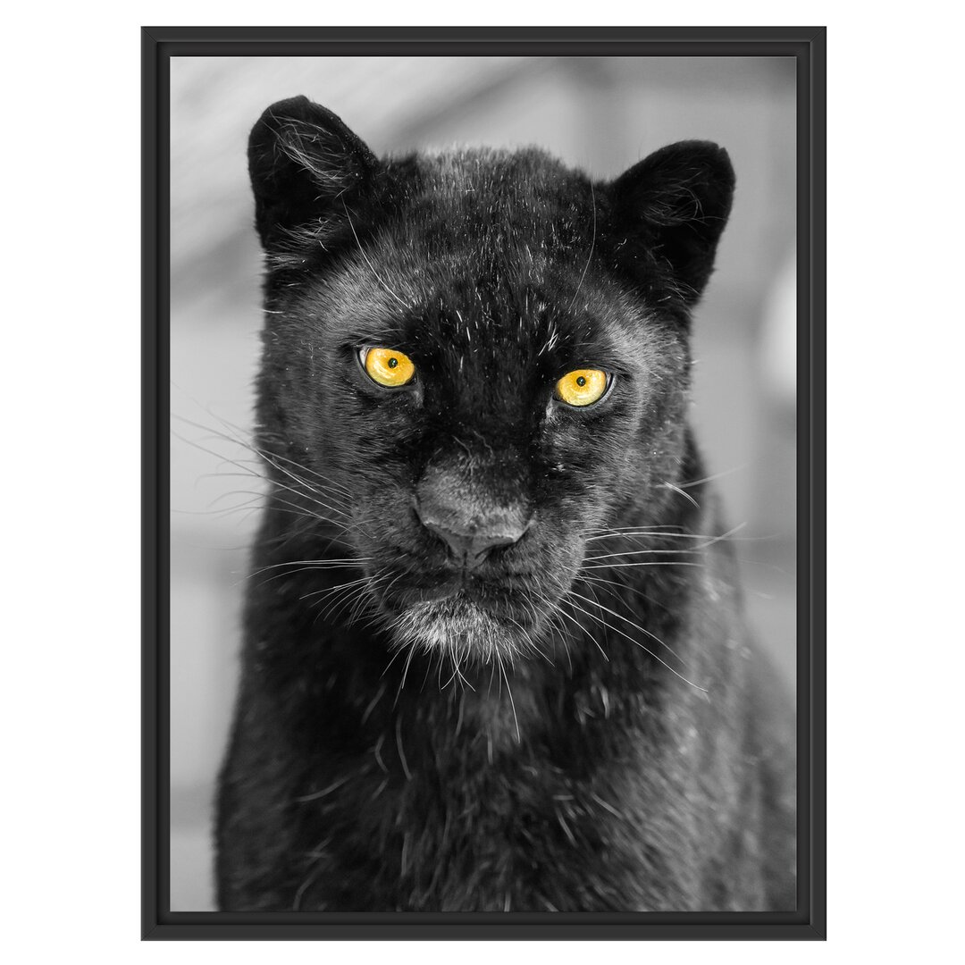 Gerahmtes Wandbild prächtiger Panther