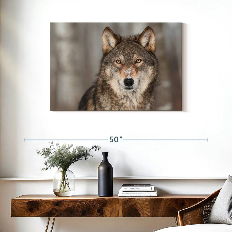 Loup gris Brampt, H 24 po x l 36 po
