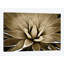 « taupe succulent iii », impression sur toile-29173999-72806361-72806358
