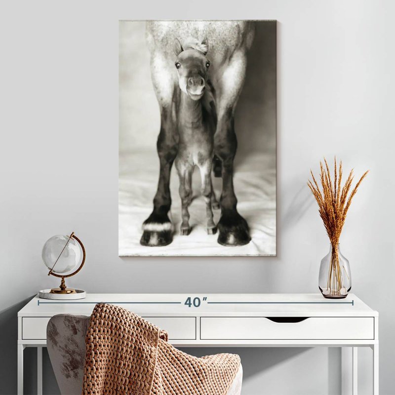 Brampt Jumbo And Nippa, 30" H x 20" W