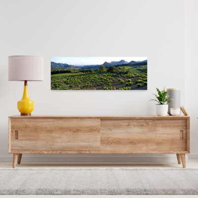 Vineyard Dentelles De Montmirail Vaucluse Provence France Abstract Contemporary Landscape Mountain Wall Art