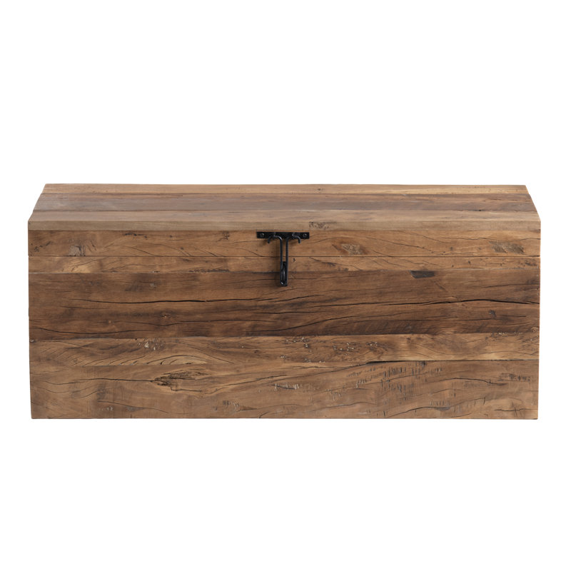 Storage Trunk