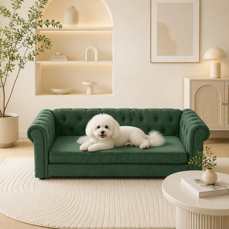 Sofa rectangulaire pour chien avec accoudoirs et dossier, Vert olive