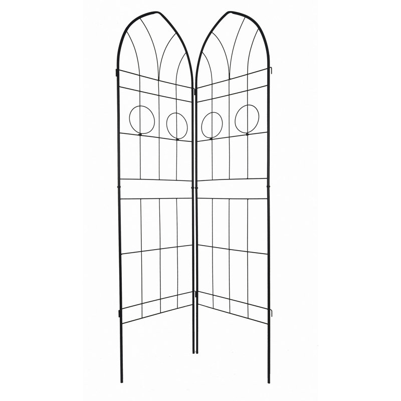Barrière de jardin, paquet de 2 treillis de jardin en métal antirouille pour plantes grimpantes