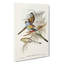 Golden-Backed Parakeets by Elizabeth Gould - Wrapped Canvas-55366223