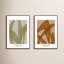 Marine Flora 3 And 4-1752327607-1752327595