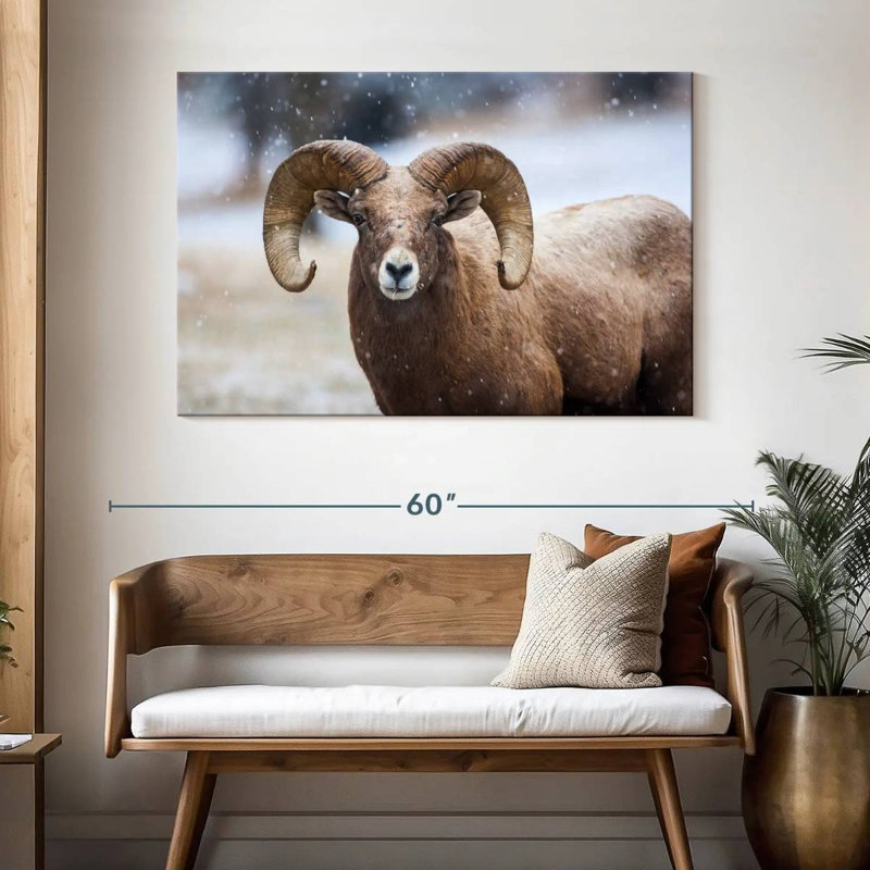 Brampt Bighorn Sheep, H 32 po x l 48 po