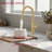 Kitchen Faucet With Pull Down Sprayer-125523672-121048415