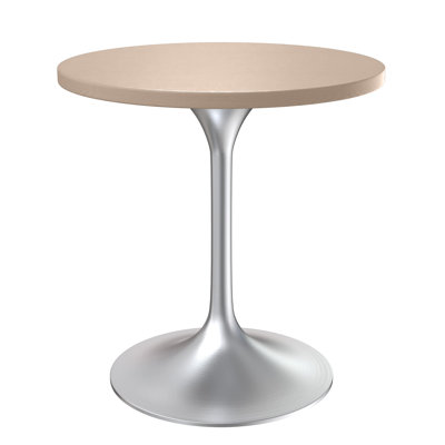 Heatherton 27" Round Dining Table with MDF Top and Brushed Silver Stainless Steel Pedestal Base Kitchen Table Seats 2-4 Person