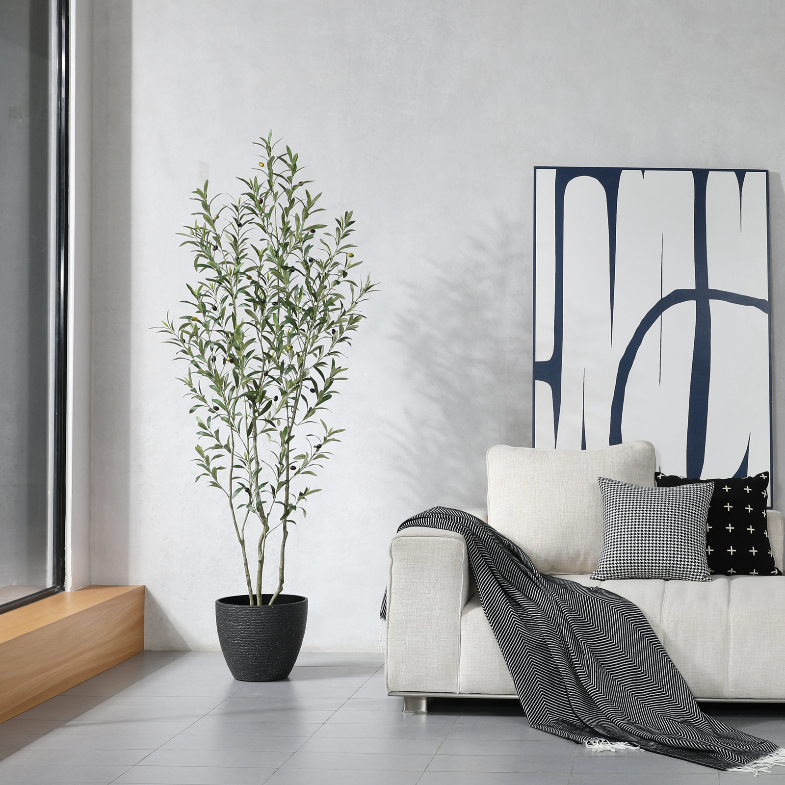 Adcock Olive Tree in Pot, 72" H x 24" W x 24" D