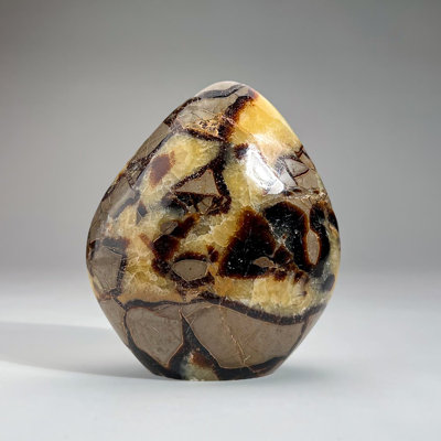 Forme libre de septaire poli de Madagascar (3 lb)