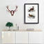 Bird Illustrations PL. 7 by Charles D' Orbigny - Single Picture Frame Painting-55457161-55457158