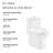 Pierre Dual-Flush Elongated One-Piece Toilet (Seat Included)